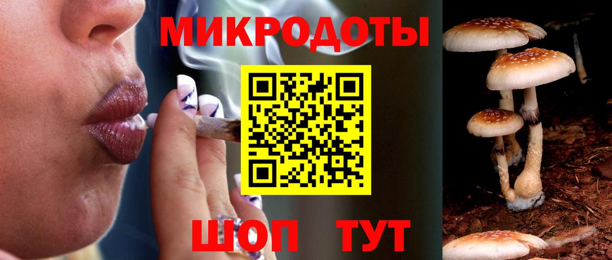 Курган  Псилоцибиновые грибы Psilocybine cubensis  Вход с VPN 